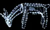 Grasendes LED Rentier mit motorgesteuertem Kopf 216 LEDs Produktbild-Vorschau 1