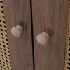 Sideboard MCW-P49, Schrank Kommode mit Türen Anrichte Produktbild-Vorschau 6
