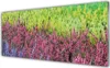 Glasbilder 125x50 Wandbild Druck auf Glas Blume Pflanzen Produktbild-Vorschau 1