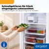 Exquisit Gefrierschrank 274 l No Frost | Energieklasse C | Produktbild-Vorschau 6