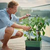 Gusta Garden CHARLY CHILI 3er-Set dunkelgrün Produktbild-Vorschau 8
