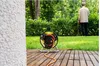 Brennenstuhl 1148500 Avvolgicavo 23 m spina di sicurezza Anteprima dell’immagine prodotto 5