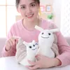 A woman is holding two plush snail toys. Produktbild-Vorschau