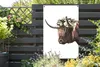 MuchoWow® Produktbild-Vorschau 5
