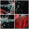 Bild auf Leinwand - Leinwandbild - Fisch Wasser Natur - Produktbild-Vorschau 8