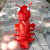 Zimní psí oblečení Halloween Humr Kostým Kočka Cosplay Náhled obrázku produktu 5