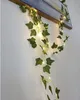 Edera artificiale + LED Gardlov 24538 Anteprima dell’immagine prodotto 26