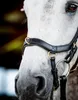 Horseware Ireland Snaffle Bridle Micklem 2 Multi Bridle Náhled obrázku produktu 8