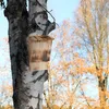 Relaxdays Fledermauskasten, Unterschlupf für Fledermäuse, Produktbild-Vorschau 6