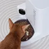 PETKIT YumShare Solo con videocamera (P571) Anteprima dell’immagine prodotto 18
