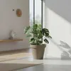Fioriera in plastica L grande - 48 cm/beige - Fioriera Anteprima dell’immagine prodotto 8