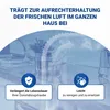 Kohlefilter passend wie AEG 902979361/0 Typ48 AMC037 236mmØ Produktbild-Vorschau 7