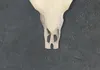A close-up view of a white buffalo skull decoration against a dark gray textured background. Podgląd zdjęcia produktu