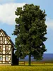 NOCH 21800, H0 (1:87)/TT (1:120), Grün, 1 Stück(e) Produktbild-Vorschau 4