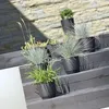 Prosperplast 7.5l Ratolla  Collection 25x25x21.9 Cm Produktbild-Vorschau 6