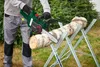 PARKSIDE Akku-Kettensäge Gartensäge Säge PAKS 20-Li E5 ohne Produktbild-Vorschau 10