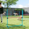 Zestaw do agility dla psów PawHut, 4-częściowy, z regulacją Podgląd zdjęcia produktu 9