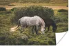 MuchoWow® Poster Pferde - Gras - Strauch 90x60 cm - Produktbild-Vorschau 1