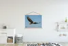 MuchoWow® Textilposter Vogel - Adler - Raubvögel 120x90 cm Produktbild-Vorschau 2