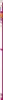 A product image with a gradient background. Produktbild-Vorschau