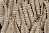 Rasteli Blumentopf Coral Reef Braun-Beige D 21 cm H 18 cm Produktbild-Vorschau 3