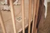 A close-up view of a baby's playpen with a soft, textured mat and a stuffed animal. Produktbild-Vorschau