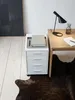 Draufsicht auf einen weißen Büro-Rollschrank mit silbernen Griffen auf extrem breiten Douglasien-Dielen im puristischen Arbeitszimmer._#sku_SAFWL5.273# Produktbild-Vorschau