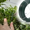 Wiltec Gartendraht grün Ø 1,15 mm x 50 m, Bindedraht Stahl Produktbild-Vorschau 7
