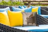 MuchoWow® Outdoor Kissen - Stieglitz - Alter Meister - Produktbild-Vorschau 4