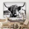 OneMillionCanvasses® - Obrazy na plátně - Kráva - Skotský Náhled obrázku produktu 7
