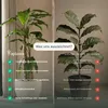 A split image comparing an artificial plant (aplanta) with real plants, highlighting the benefits of the artificial one. Produktbild-Vorschau