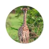 MuchoWow® Mauspad Mousepad Baby - Giraffe - Pflanzen 50x50 Produktbild-Vorschau 1