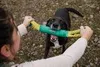 Ruffwear Pacific Loop Spielzeug Aurora Teal Produktbild-Vorschau 3