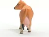 Schleich Farm World Hochland Bulle, Spielfigur Produktbild-Vorschau 11