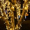 A tree trunk wrapped in warm, glowing string lights at night. Náhled obrázku produktu