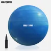 A blue exercise ball and a black air pump are shown against a white background. Náhľad obrázku produktu