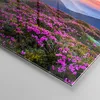 Bilder auf glas - Einteilig - Wiese Berg Himmel Landschaft Produktbild-Vorschau 5