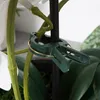 ProGarden clips de soutien des plantes grandes et petites Voir les images du produit 6