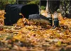 Fiskars Ergo Záhradný Kôš 219 L 1028373 Náhľad obrázku produktu 2
