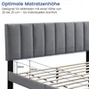 Polsterbett 140x200 und 160x200 cm Doppelbett mit Produktbild-Vorschau 5