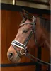 Harry's Horse Chique Bridon Noir Full Noir Full Voir les images du produit 3