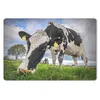 MuchoWow® Schreibtischunterlage Kuh - Gras - Bauernhof - Produktbild-Vorschau 1