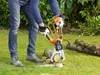 Black & Decker Akku-Astschere Alligator GKC 1000 18 V / 2 Produktbild-Vorschau 7