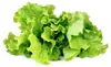 EMSA Click & Grow, Koolsalade Productafbeelding-voorbeeld 13