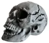 Preiswerter Totenschädel 24cm als Halloween Deko Produktbild-Vorschau 5