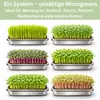 Friendly Fox Microgreens Anzuchtschale aus Edelstahl, 2er Produktbild-Vorschau 6