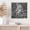 DEQORI Hybrid Leinwand Bild 50x50 cm 'Sanfte Träume' Produktbild-Vorschau 4