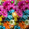 A split image comparing two versions of a bouquet of flowers, with one side labeled 'FULL HD' and a green checkmark, and the other side appearing less clear with a red 'X'. Anteprima dell’immagine prodotto