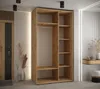 A modern entryway with a wardrobe, door, and decorative elements. Produktbild-Vorschau