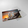 Bilder auf glas - Tiger weiß Rock Sonnenuntergang - 70x50cm Produktbild-Vorschau 2